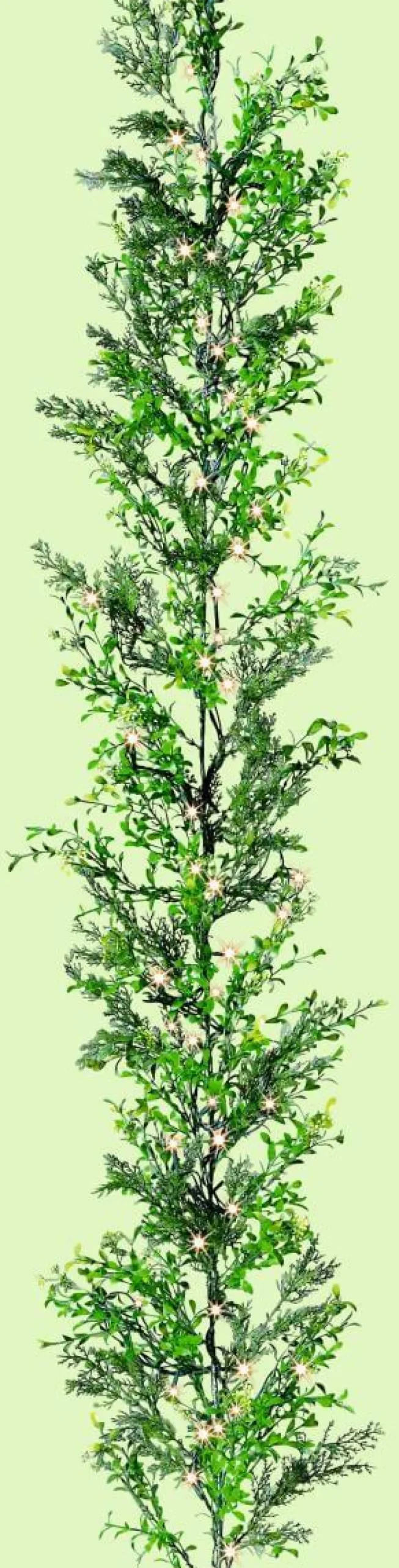 DecoWoerner Guirnaldas Y Vides>Guirnalda De Ciprés Y Boje, Longitud: 170 Cm