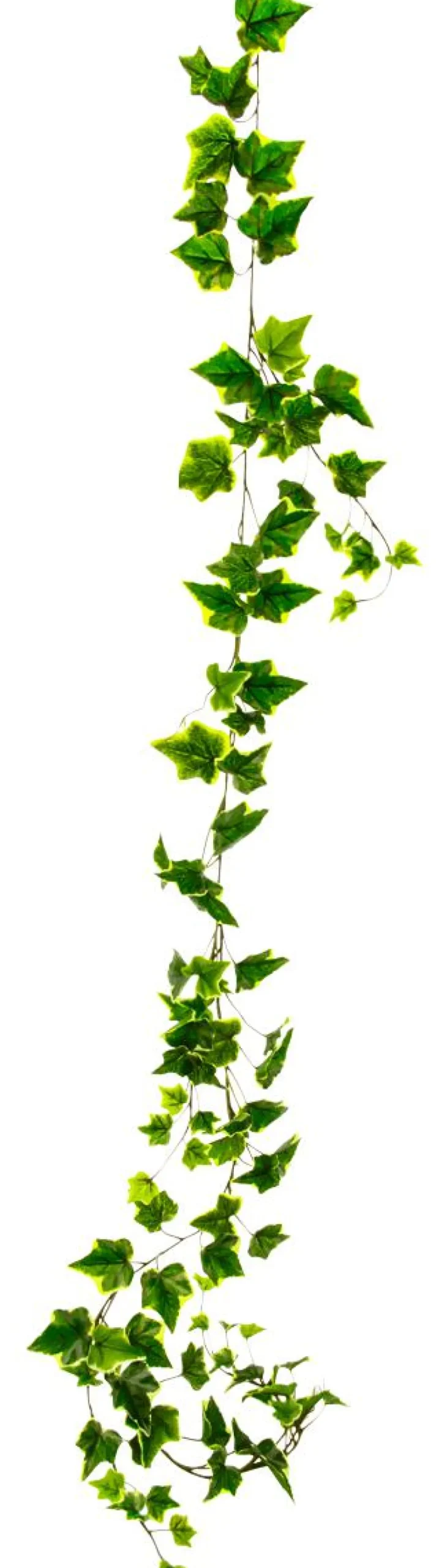 DecoWoerner Decoración De Otoño|Guirnaldas Y Vides>Guirnalda De Hiedra Artificial 170 Cm Amarillo
