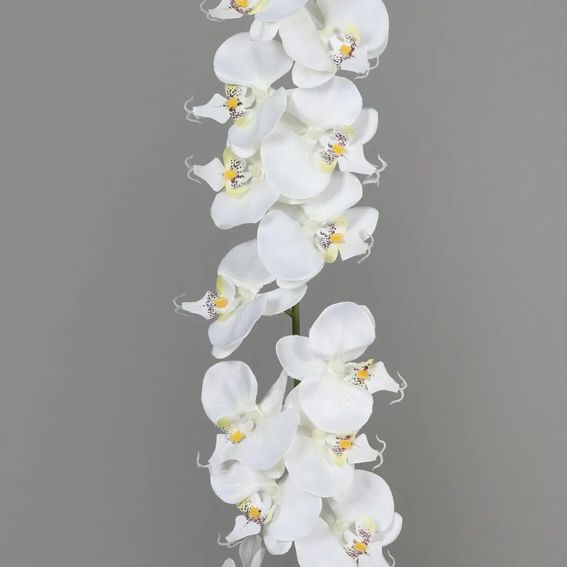 DecoWoerner Guirnaldas Y Vides|Flores Artificiales>Guirnalda De Orquídeas Artificiales Blancas 175 Cm