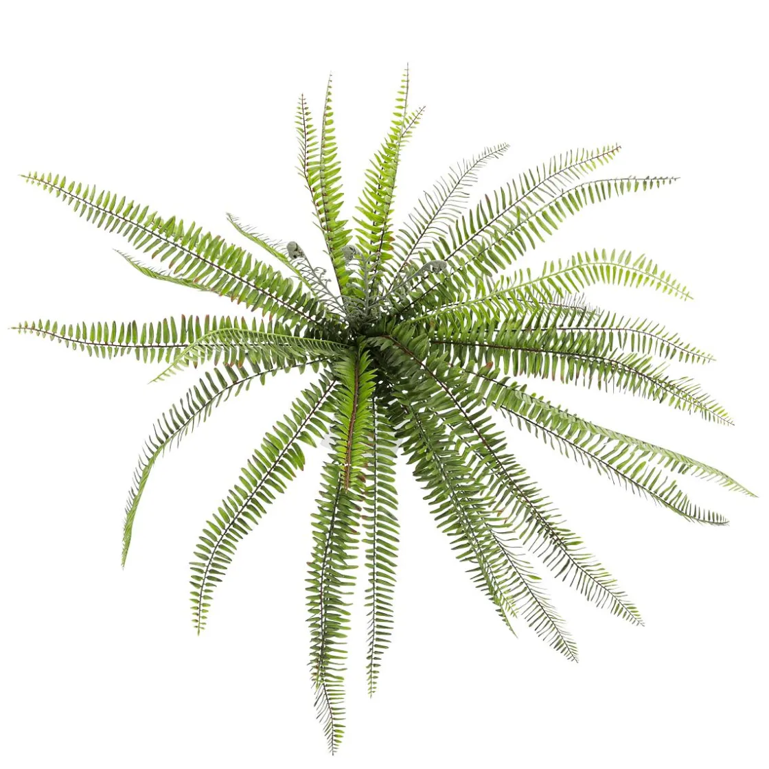 DecoWoerner Plantas Verdes|Plantas De Interior>Helecho XXL - Planta Artificial Con Palo De Inserción 100 Cm Ø