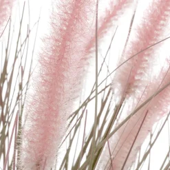 DecoWoerner Hierba Decorativa><noscript><img width=
