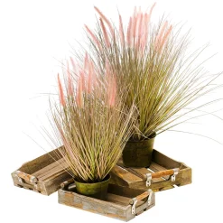 DecoWoerner Hierba Decorativa><noscript><img width=