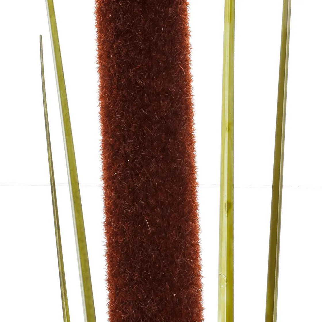 DecoWoerner Decoración De Otoño|Decoración De Verano>Hierba De Caña Deco 120 Cm Pack De 3