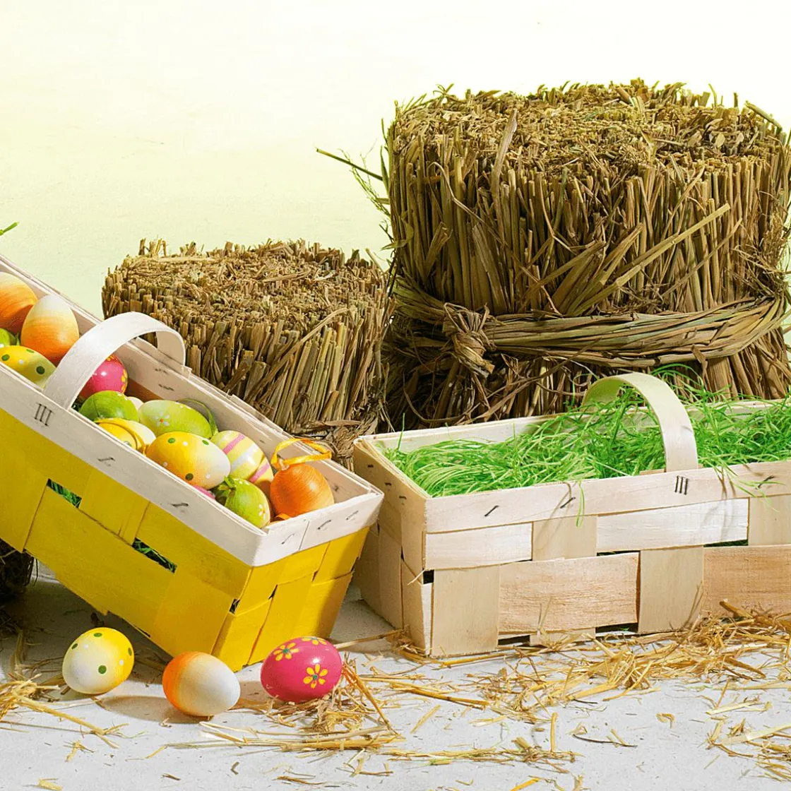 DecoWoerner Decoración Dispersa|Decoración De Pascua>Hierba De Pascua