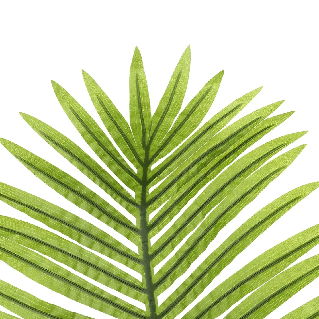 DecoWoerner Decoración De Verano|Hojas>Hoja De Palmera Areca Decorativa, Longitud 98 Cm