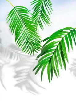 DecoWoerner Decoración De Verano|Hojas><noscript><img width=