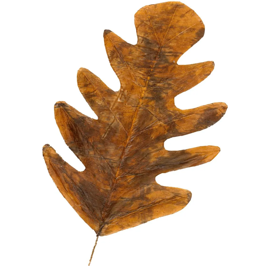 DecoWoerner Decoración De Otoño|Hojas>Hojas De Otoño Decorativas 80 Cm, 3 Pz.