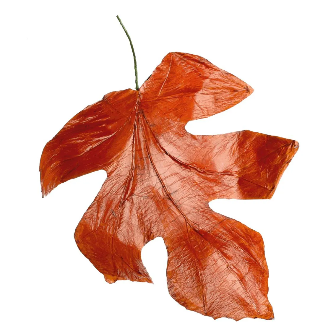 DecoWoerner Decoración De Otoño|Hojas>Hojas De Otoño Decorativas 80 Cm, 3 Pz.