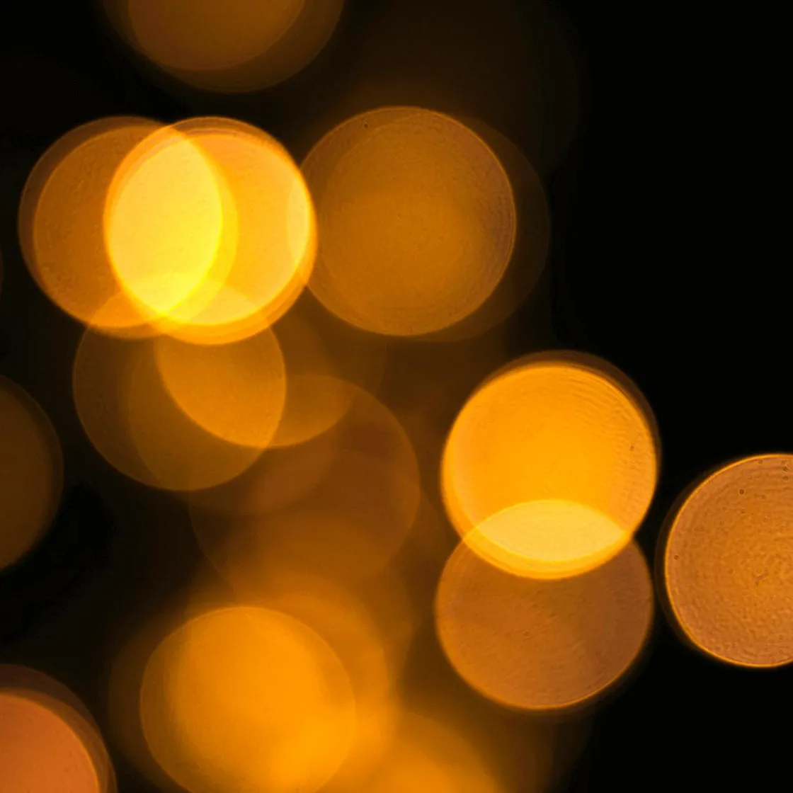 DecoWoerner Luces De Navidad>Icicle-Light LED Transparente 300 X 50 Cm IP20