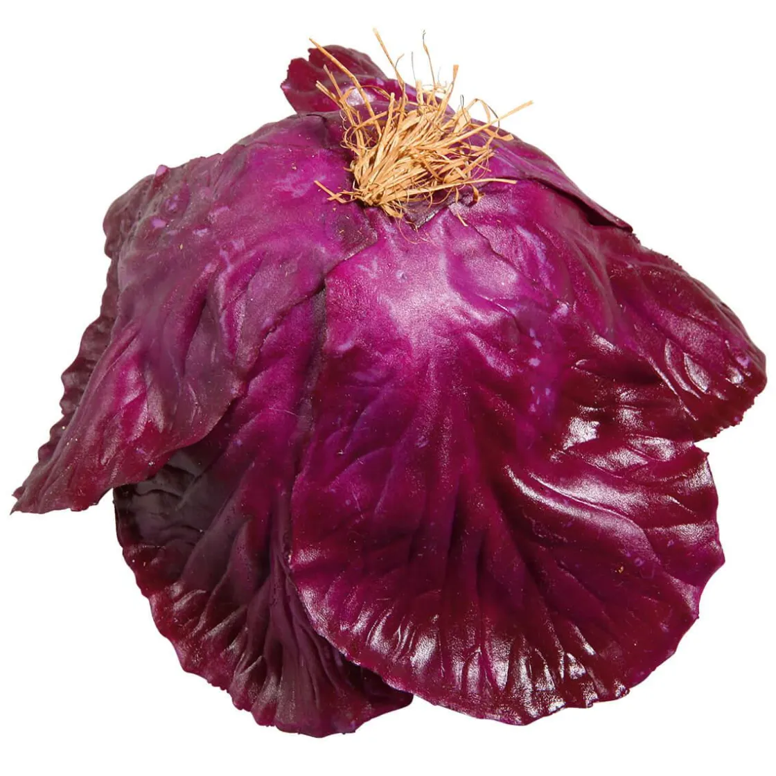 DecoWoerner Verduras Y Hierbas>Imitación De Col Lombarda, Ø 13 Cm