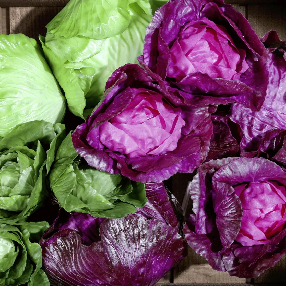 DecoWoerner Verduras Y Hierbas>Imitación De Col Lombarda, Ø 13 Cm