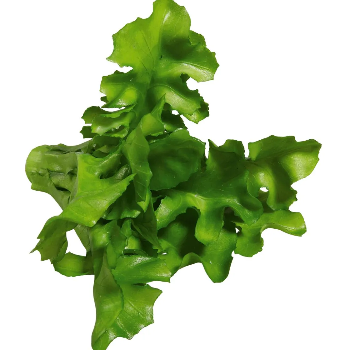 DecoWoerner Verduras Y Hierbas>Imitación De Ensalada De Rúgula, Ø 16 Cm, 2 Piezas