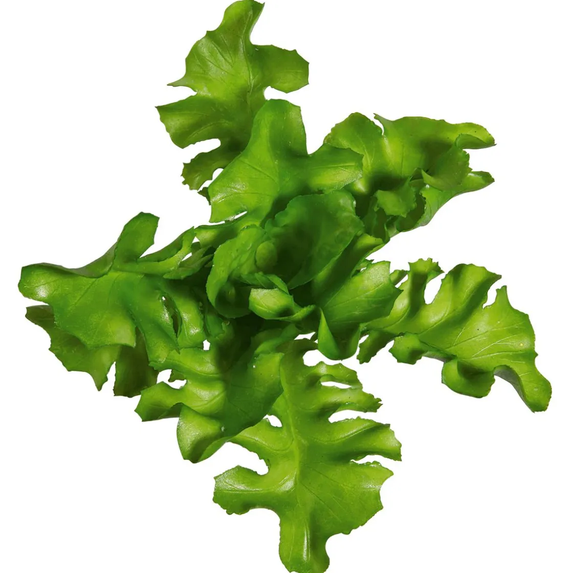 DecoWoerner Verduras Y Hierbas>Imitación De Ensalada De Rúgula, Ø 16 Cm, 2 Piezas