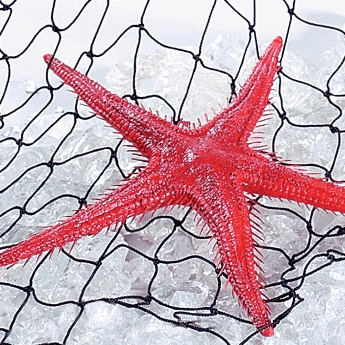DecoWoerner Decoración De Verano|Pescados Y Mariscos>Imitación De Estrella Do Mar, 2 Piezas