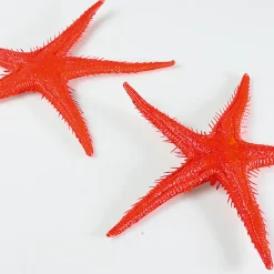 DecoWoerner Decoración De Verano|Pescados Y Mariscos><noscript><img width=