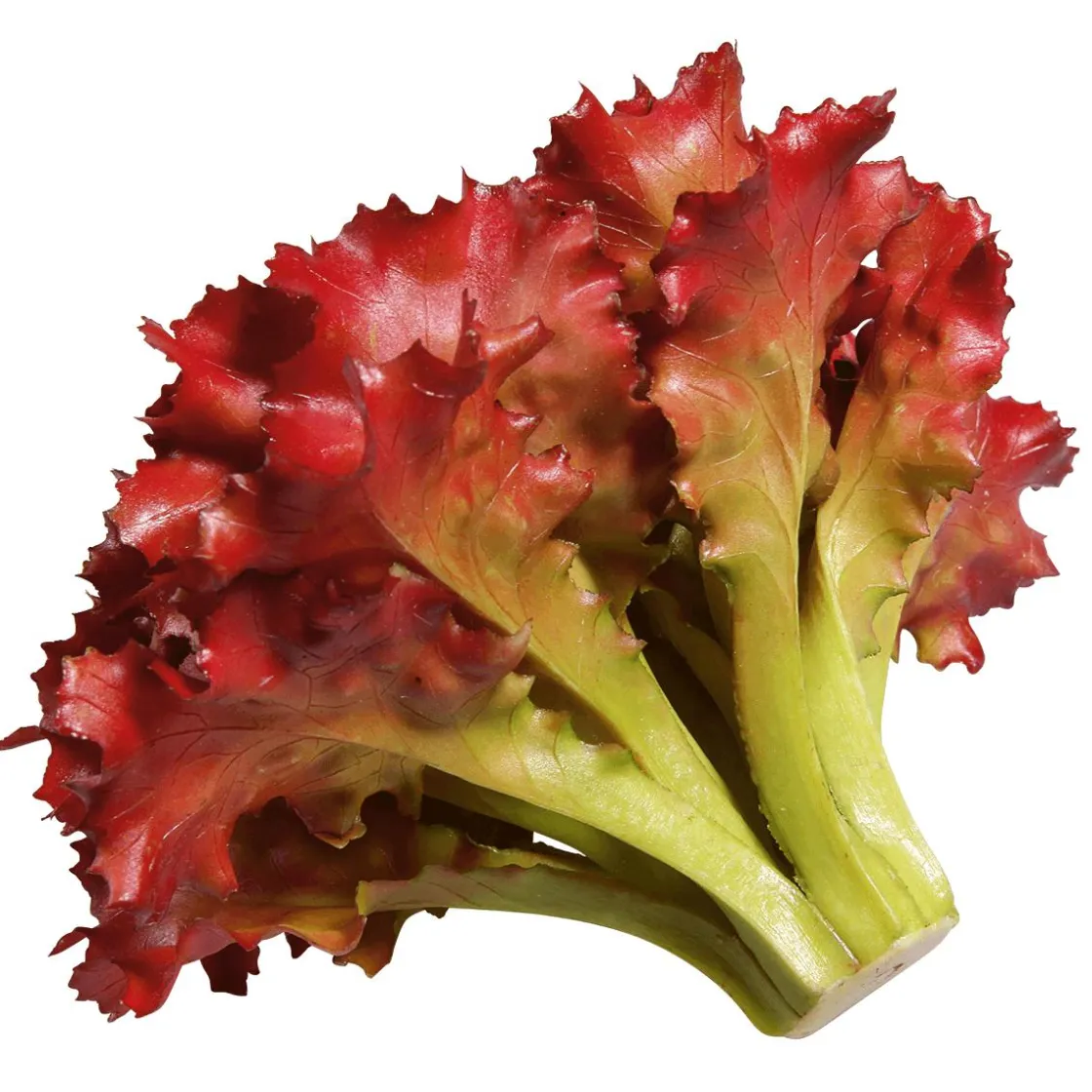 DecoWoerner Verduras Y Hierbas>Imitación De Lechuga Lollo Rosso, Ø 16 Cm