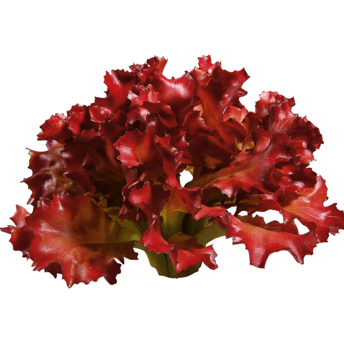 DecoWoerner Verduras Y Hierbas>Imitación De Lechuga Lollo Rosso, Ø 16 Cm