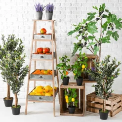 DecoWoerner Frutas><noscript><img width=