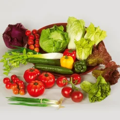 DecoWoerner Verduras Y Hierbas><noscript><img width=