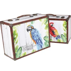 DecoWoerner Decoración Temática|Decoración De Verano><noscript><img width=