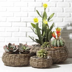 DecoWoerner Macetas Y Artículos De Decoración><noscript><img width=