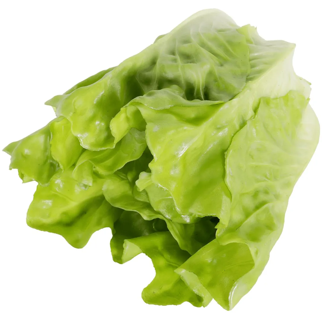 DecoWoerner Verduras Y Hierbas>Lechuga Romana
