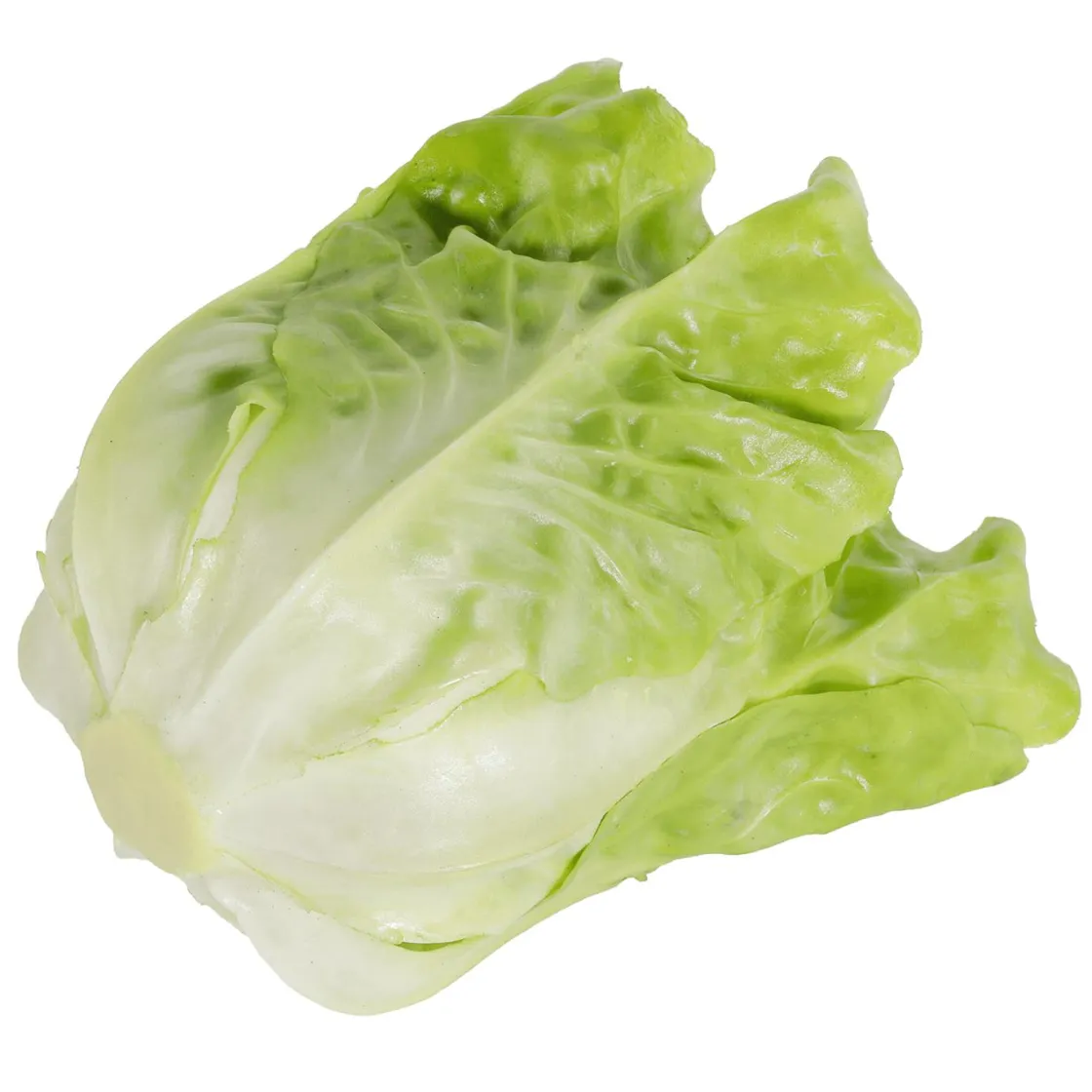 DecoWoerner Verduras Y Hierbas>Lechuga Romana