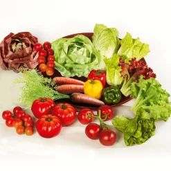 DecoWoerner Verduras Y Hierbas><noscript><img width=