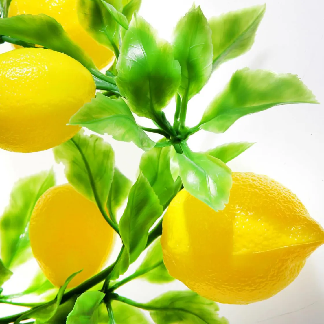 DecoWoerner Guirnaldas Y Vides|Frutas>Limonera Artificial 200 Cm