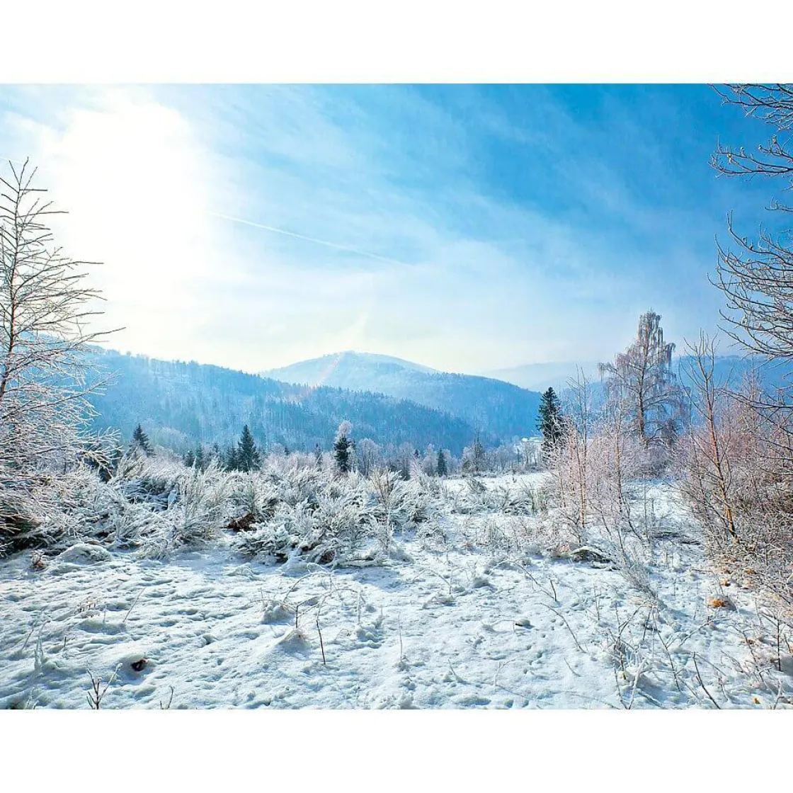 DecoWoerner Bandera Xxl|Decoración De Invierno>Lona XXL "Paisaje De Invierno" De Lona De Camión Ignífuga 250 X 330 Cm
