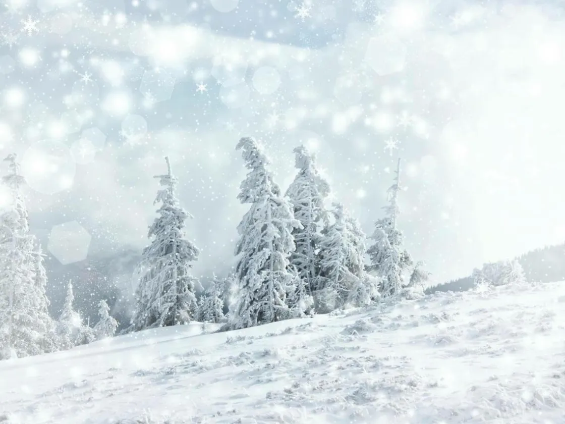 DecoWoerner Bandera Xxl|Decoración De Invierno>Lona XXL "Paisaje De Nieve" De Lona De Camión Ignífuga 250 X 330 Cm