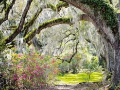 DecoWoerner Decoración Temática|Decoración De Verano>Lona XXL "Parque Con Musgo Español" De Lona De Camión Ignífuga 250 X 330 Cm