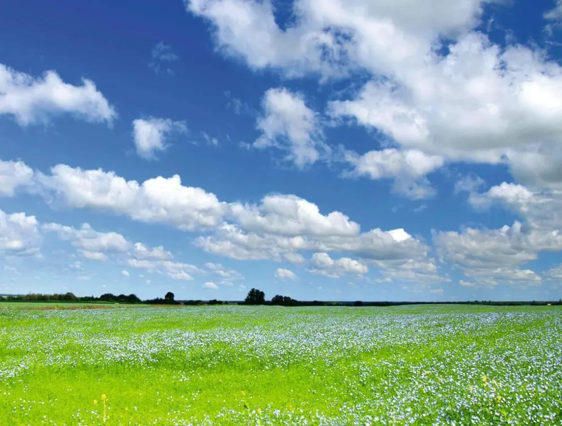 DecoWoerner Bandera Xxl|Decoración De Verano>Lona XXL "Pradera Y Cielo Nublado" De Lona De Camión Ignífuga 250 X 330 Cm