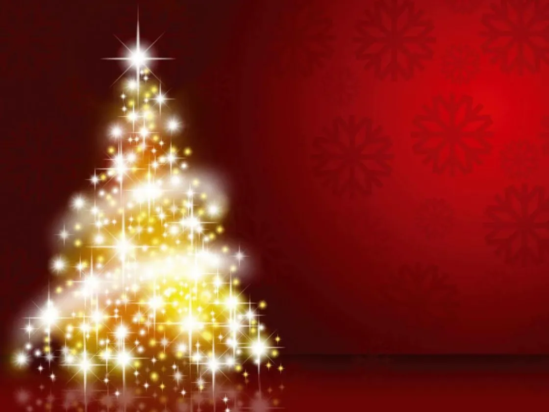 DecoWoerner Pancartas De Navidad E Invierno|Decoración Navideña Xxl>Lona XXL "Árbol De Navidad" De Lona De Camión Ignífuga 250 X 330 Cm