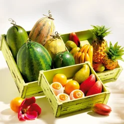 DecoWoerner Frutas><noscript><img width=