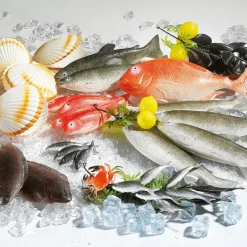 DecoWoerner Pescados Y Mariscos><noscript><img width=
