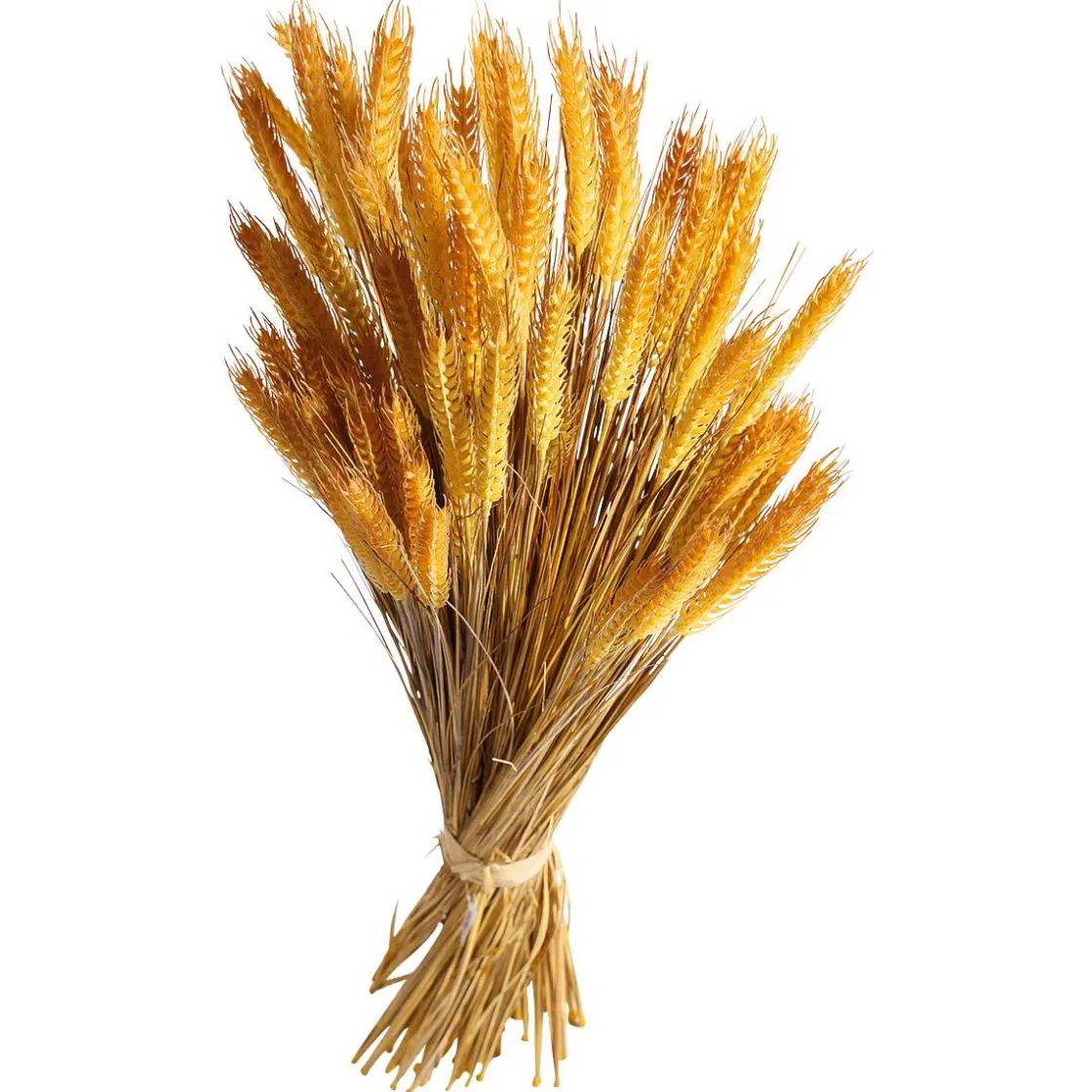 DecoWoerner Decoración De Otoño|Hierba Decorativa>Manojo De Espigas De Trigo Decorativo 90 Cm
