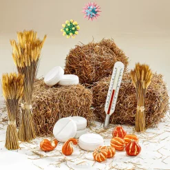 DecoWoerner Decoración De Otoño|Hierba Decorativa><noscript><img width=