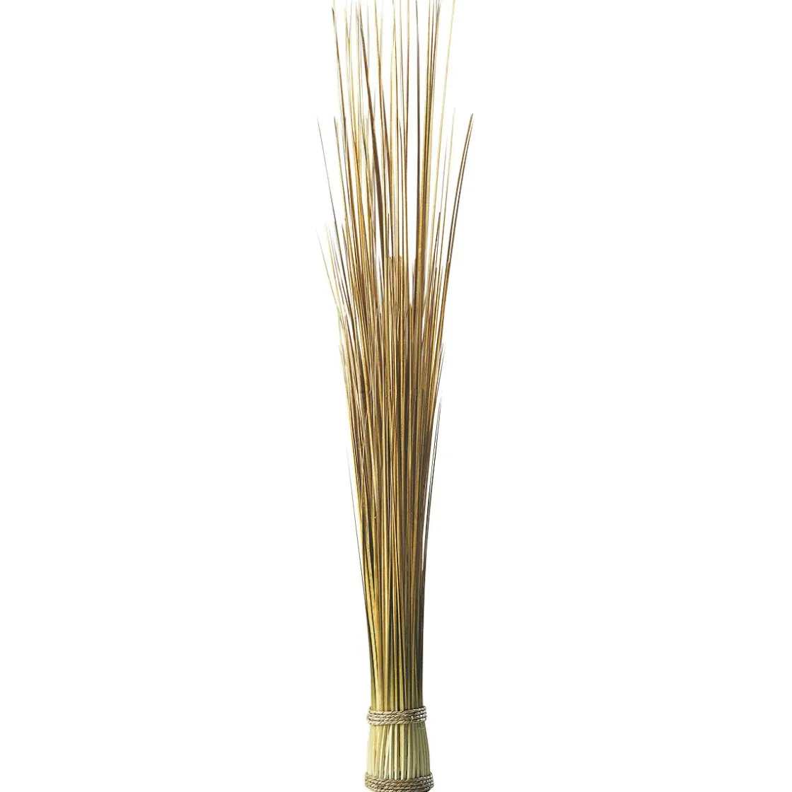 DecoWoerner Decoración De Otoño|Hierba Decorativa>Manojo De Hierba Decorativa Extra Largo, Longitud 90 Cm