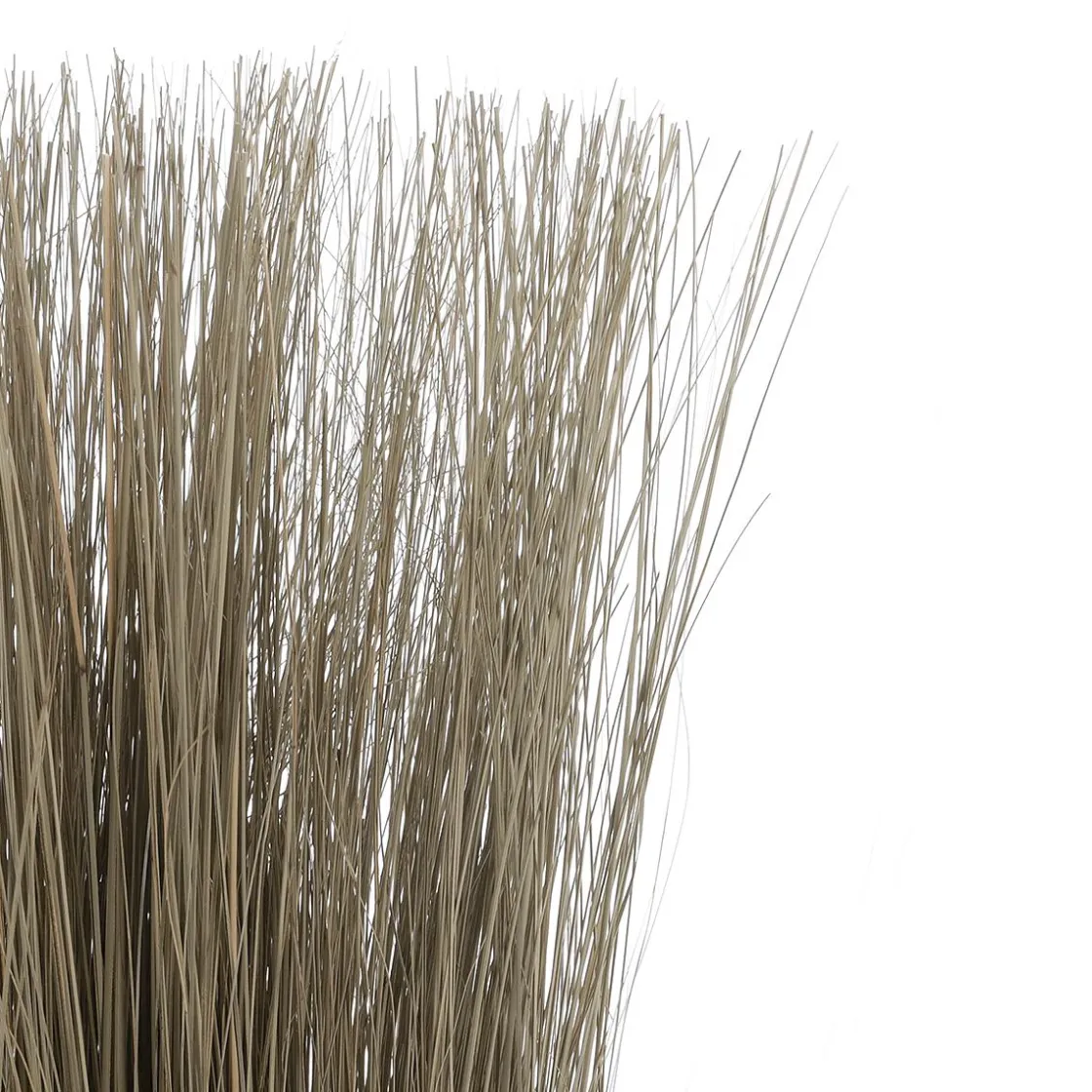 DecoWoerner Hierba Decorativa>Manojo De Hierba Natural 100 Cm