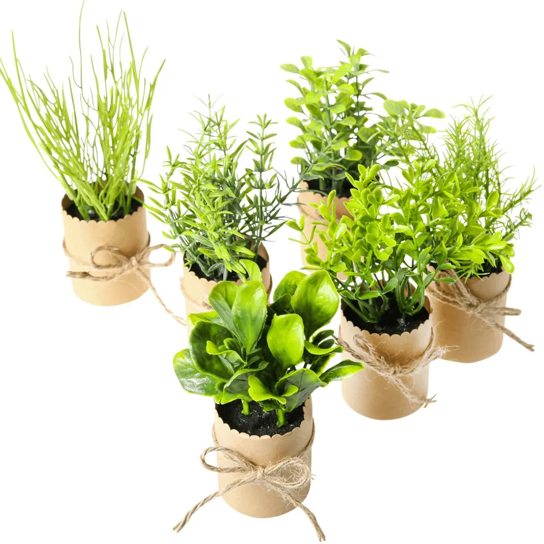 DecoWoerner Plantas De Interior|Verduras Y Hierbas>Mini Hierbas En Maceta 6 Piezas 15 Cm