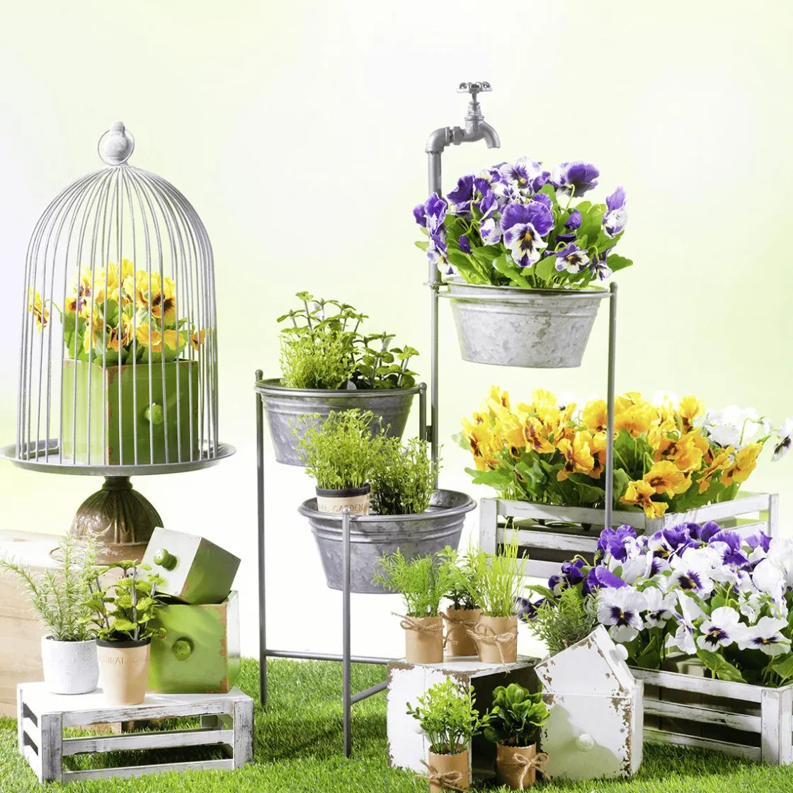 DecoWoerner Plantas De Interior|Verduras Y Hierbas>Mini Hierbas En Maceta 6 Piezas 15 Cm