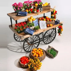 DecoWoerner Plantas De Interior|Verduras Y Hierbas><noscript><img width=