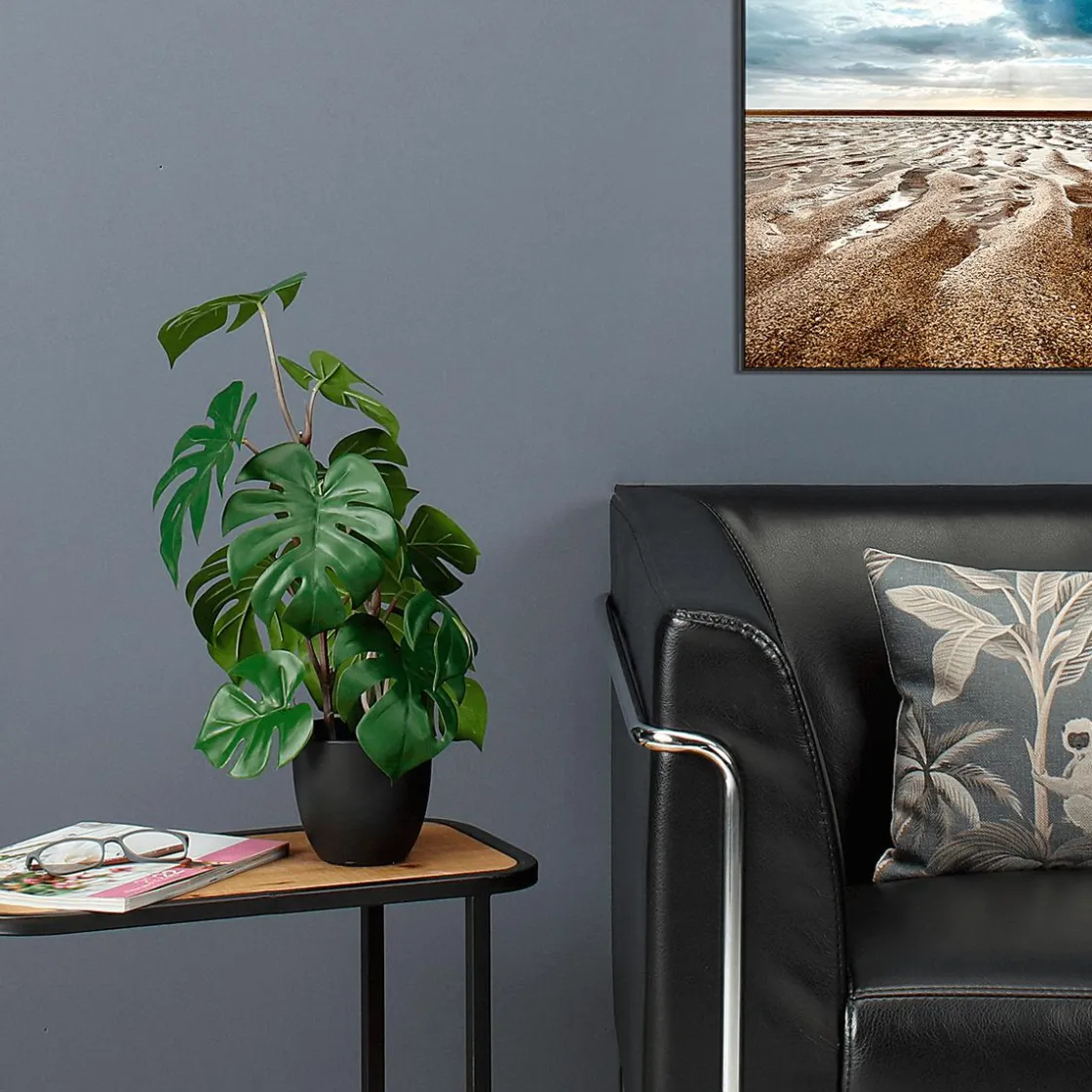 DecoWoerner Plantas Verdes|Plantas De Interior>Monstera En Maceta Negra