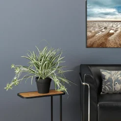 DecoWoerner Plantas De Interior><noscript><img width=