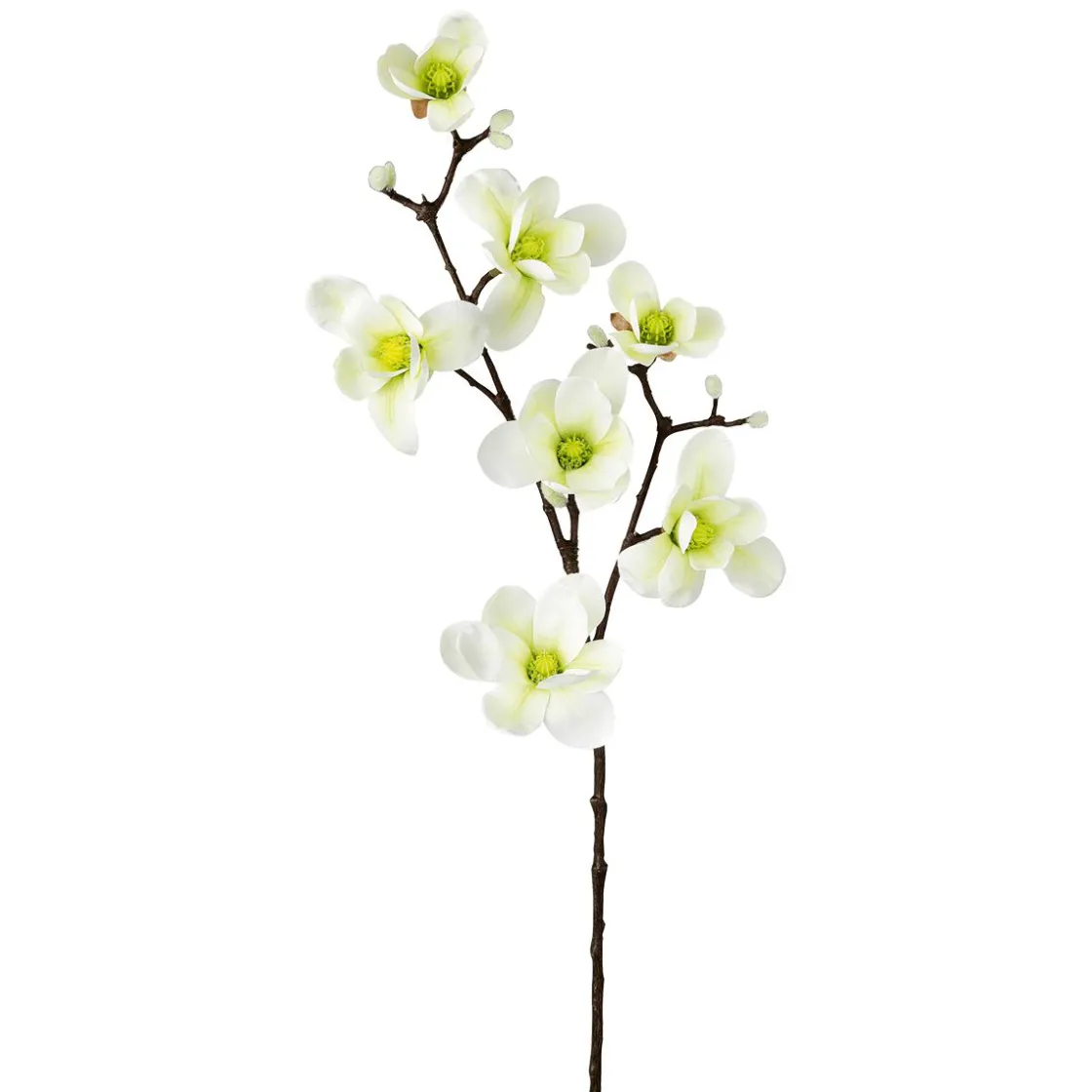 DecoWoerner Decoración De Primavera|Ramas Y Ramitas>Noble Rama De Magnolia Artificial, Verde, 100 Cm