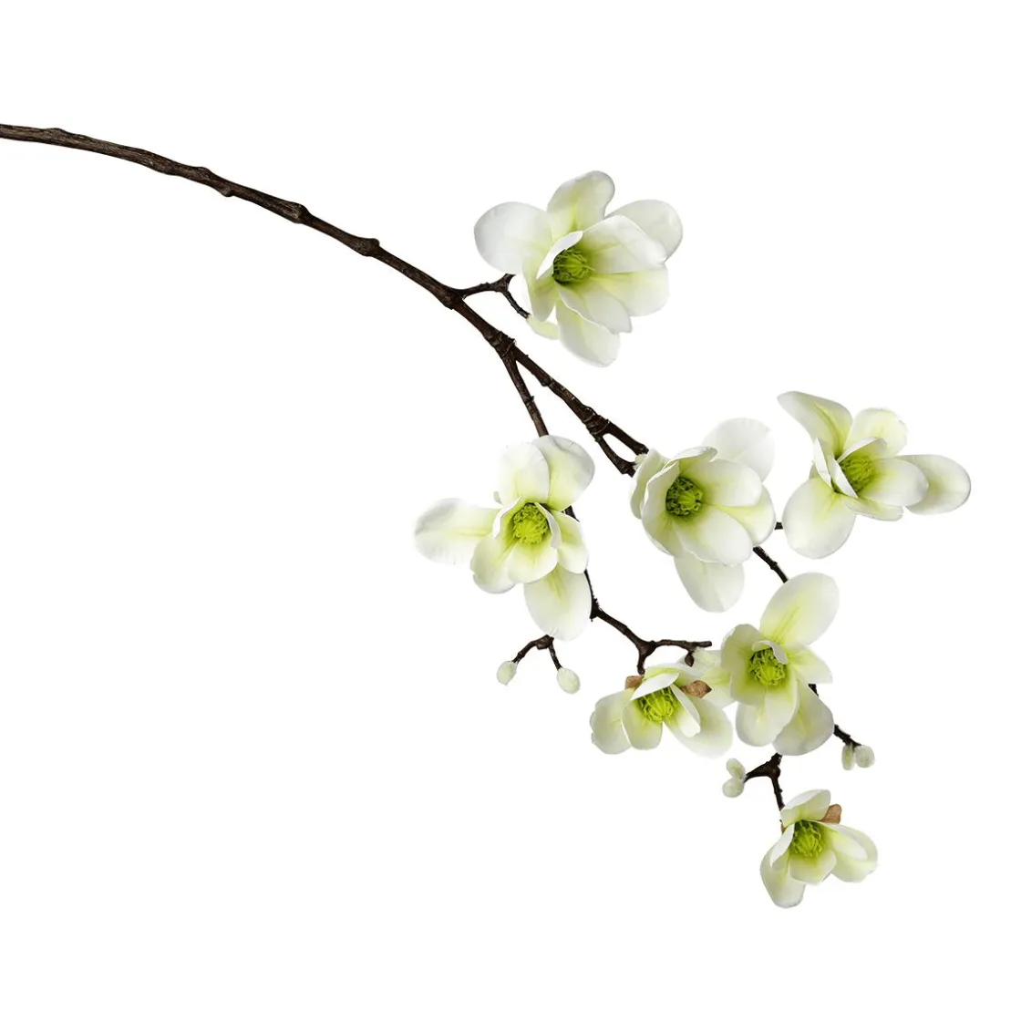 DecoWoerner Decoración De Primavera|Ramas Y Ramitas>Noble Rama De Magnolia Artificial, Verde, 100 Cm