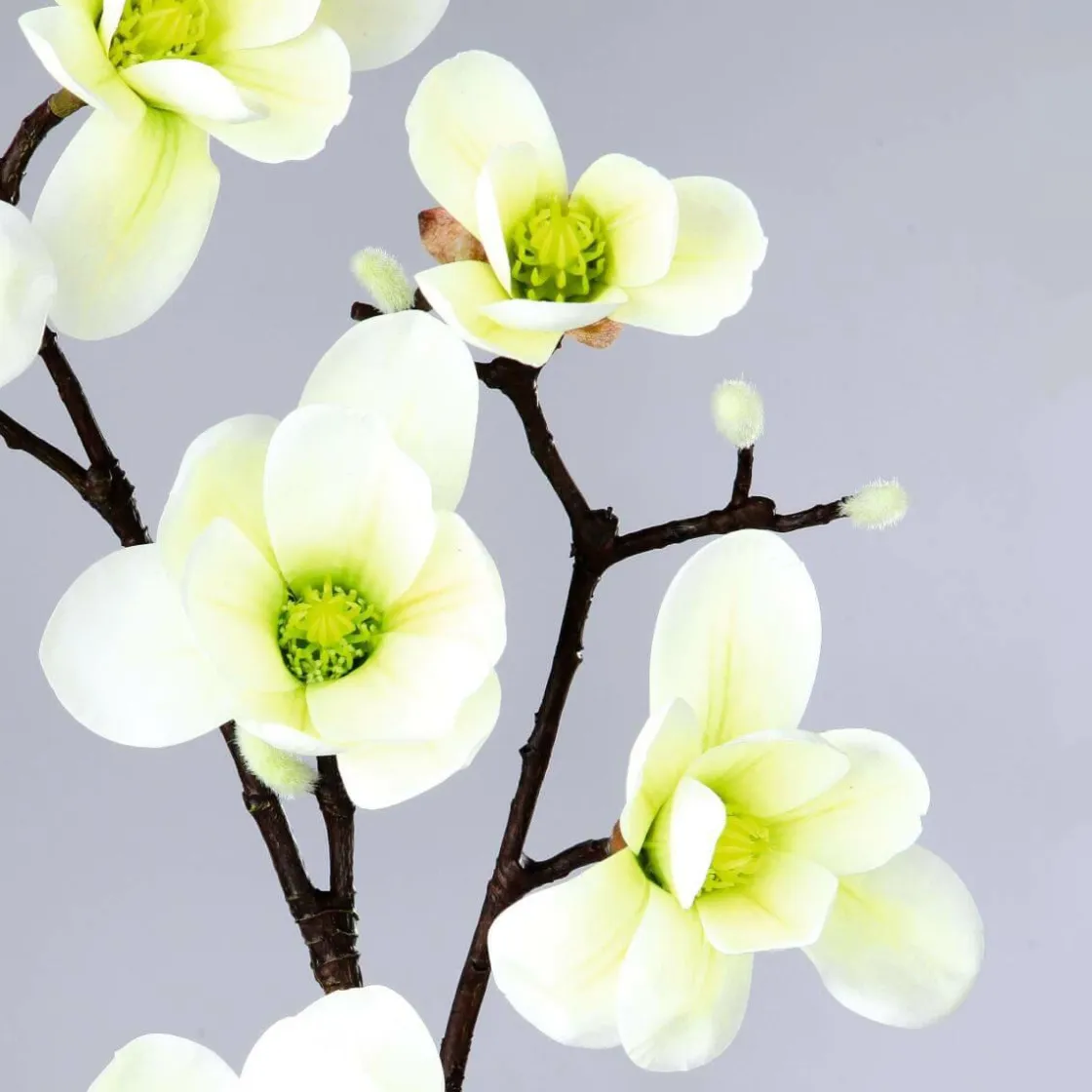 DecoWoerner Decoración De Primavera|Ramas Y Ramitas>Noble Rama De Magnolia Artificial, Verde, 100 Cm