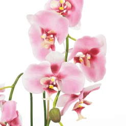 DecoWoerner Plantas De Interior|Flores Artificiales><noscript><img width=