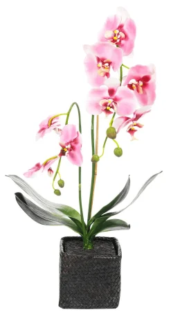 DecoWoerner Plantas De Interior|Flores Artificiales><noscript><img width=